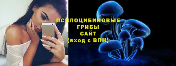 PSILOCYBIN Сатка