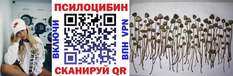 магазин продажи наркотиков  Хотьково  Галлюциногенные грибы ЛСД 